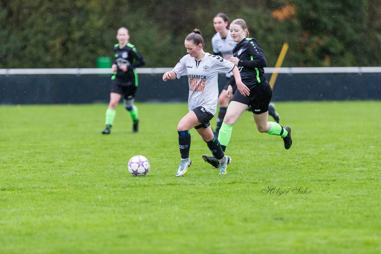 Bild 144 - wBJ SV Henstedt Ulzburg - FSG Oldendorf Itzehoe : Ergebnis: 1:5